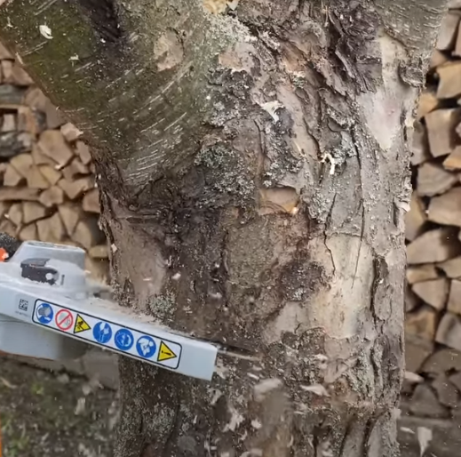 Un jardinier entame la coupe d'un tronc d'arbre avec sa petite tronçonneuse électrique stihl gta 26