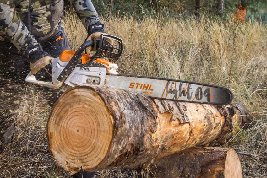 Un bûcheron tronçonne un gros tronc d'arbre avec sa tronçonneuse stihl msa 300